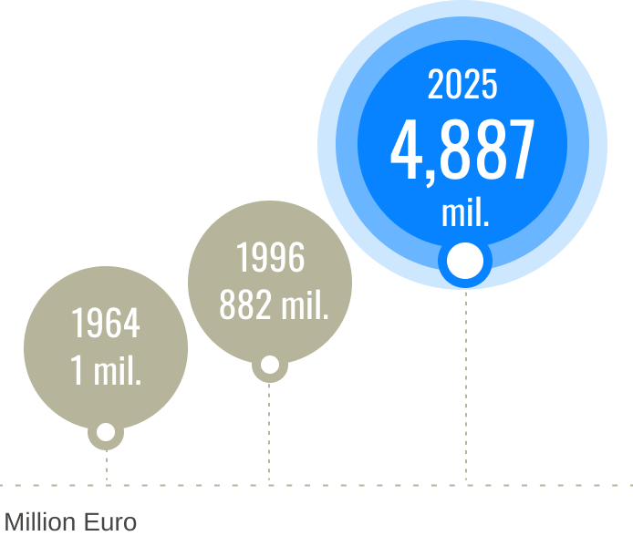 consolidated turnover